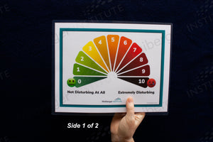 Disturbance Scale (0 – 10) and Belief Scale (1-7) Card